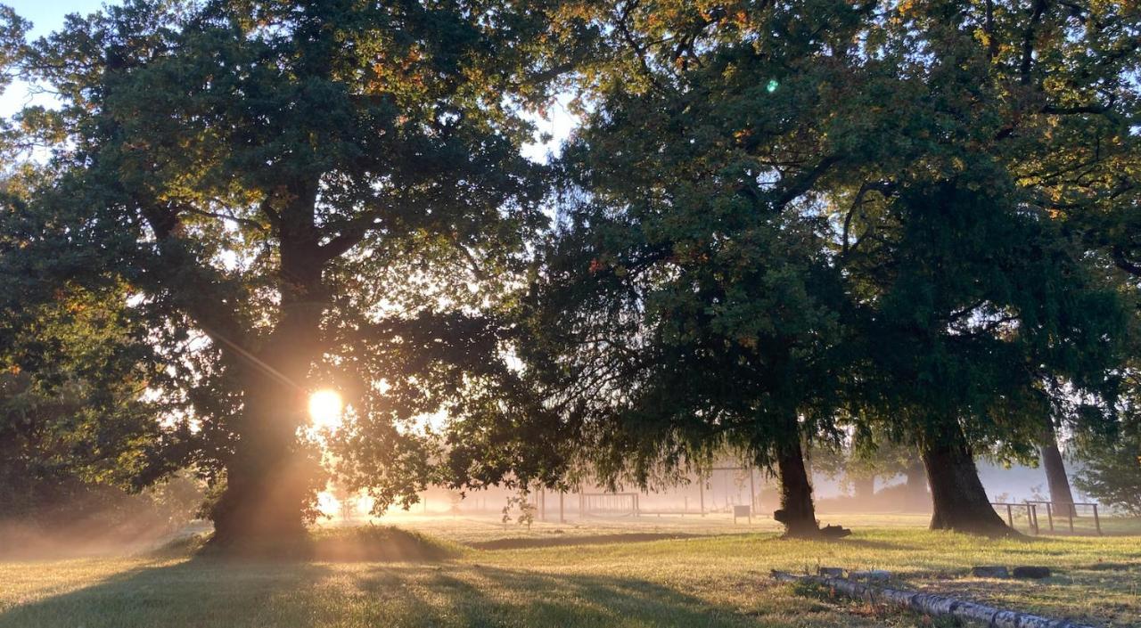 The Retreat New Forest, Hinton Christchurch  Dış mekan fotoğraf